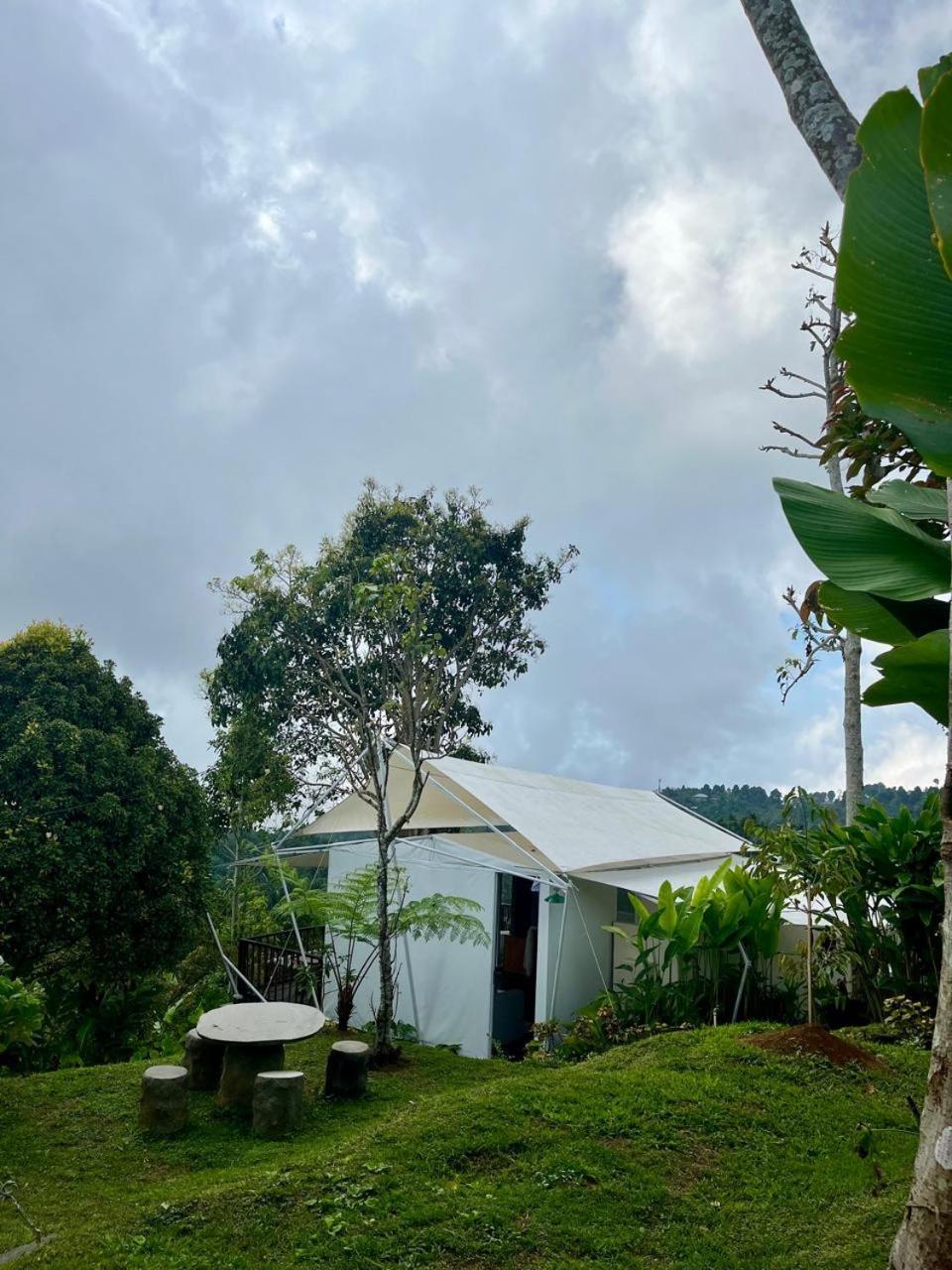 Harsa Eco Luxury Camp Hotel Gobleg  Eksteriør billede